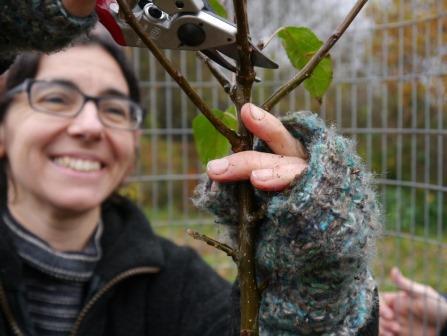 We have some free orchard workshops coming up! Join us to help maintain your local orchards and enhance your formative pruning skills. Manchester, Sat 23 March. Book here: bit.ly/3v9Ipyk Edinburgh, Sun 24 March. Book here: bit.ly/492LfmM