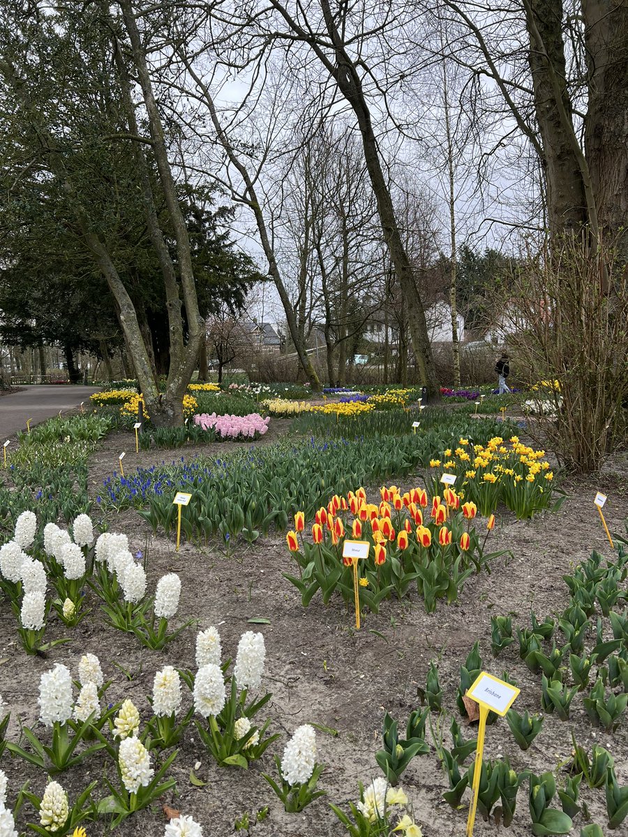 LarsRuiter's tweet image. De Poldertuin in Anna Paulowna staat de komende weken weer in bloei. #HollandsKroon