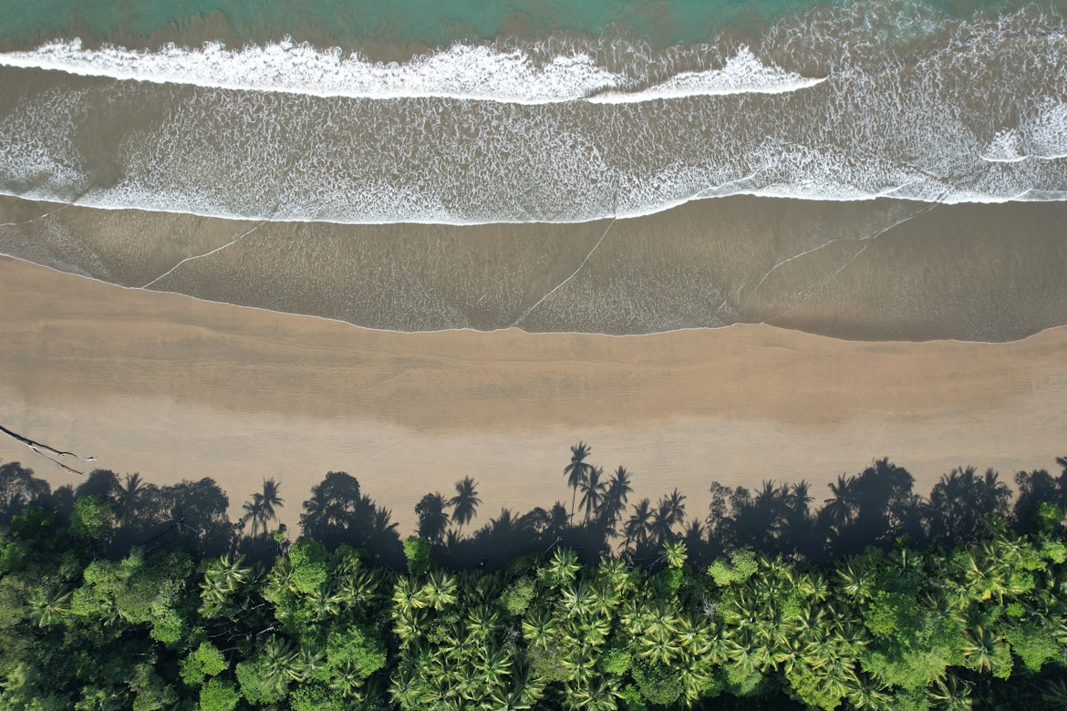 Costa Rica
_______________
#NatureBeauty #NaturePhotography #naturelovers #traveling #travelphotography #TravelTheWorld #traveler