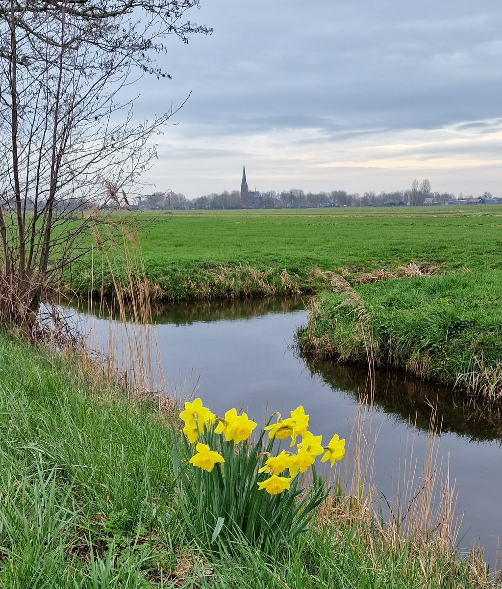 Martin1960's tweet photo. Rondje #GroeneHart, 53 km βοΈπ΄ββοΈπ https://t.co/lmJDFML9y7 #Alphen #Aarlandervern #Korteraar #Zevenhoven #Noordeinde #Nieuwveen #Bilderdam #Vriezekoop #Leimuiden #OudeWetering #Roelofarendsveen #Hoogmade #Woubrugge #Alphen https://t.co/0N69BDOcIz