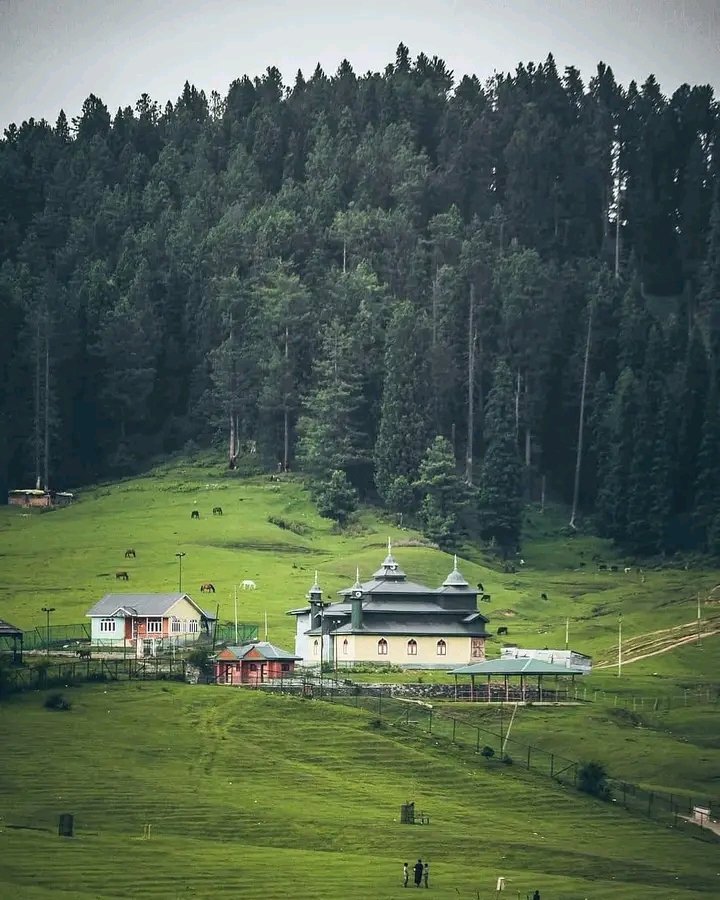 RunyalR's tweet photo. Yousmarg kashmir
#Photography https://t.co/HyUAkiyaab
