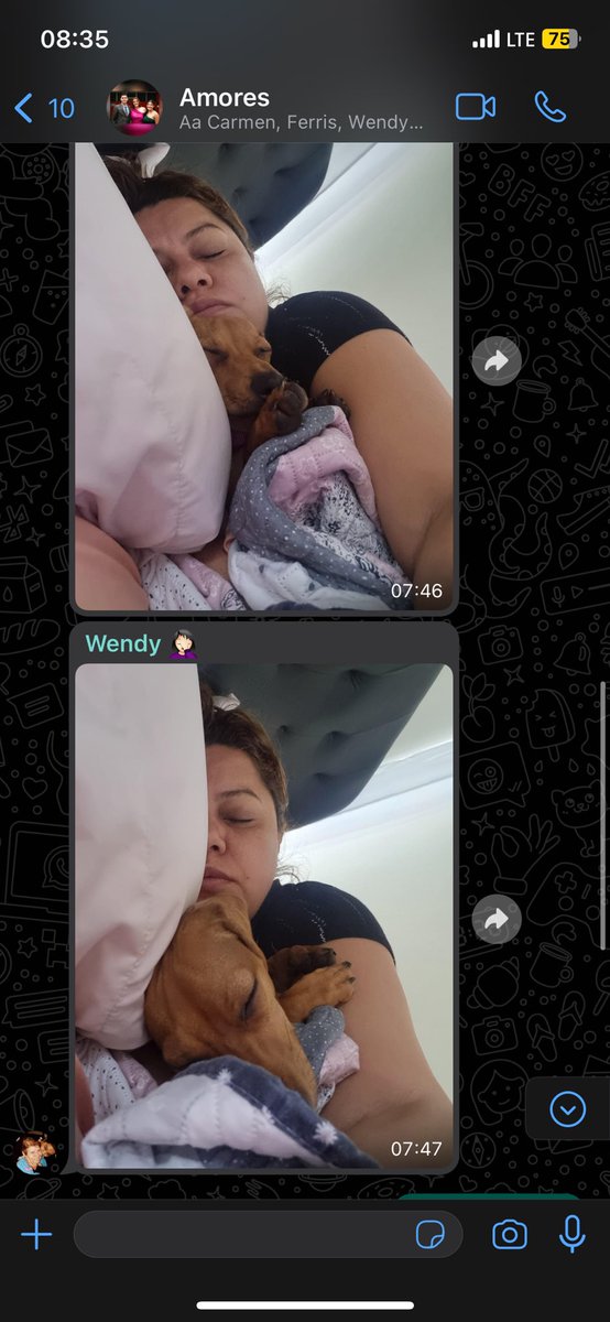 Mi mamá: es que esa tu perra no se comporta, no la quiero 😡

Mi mamá también: