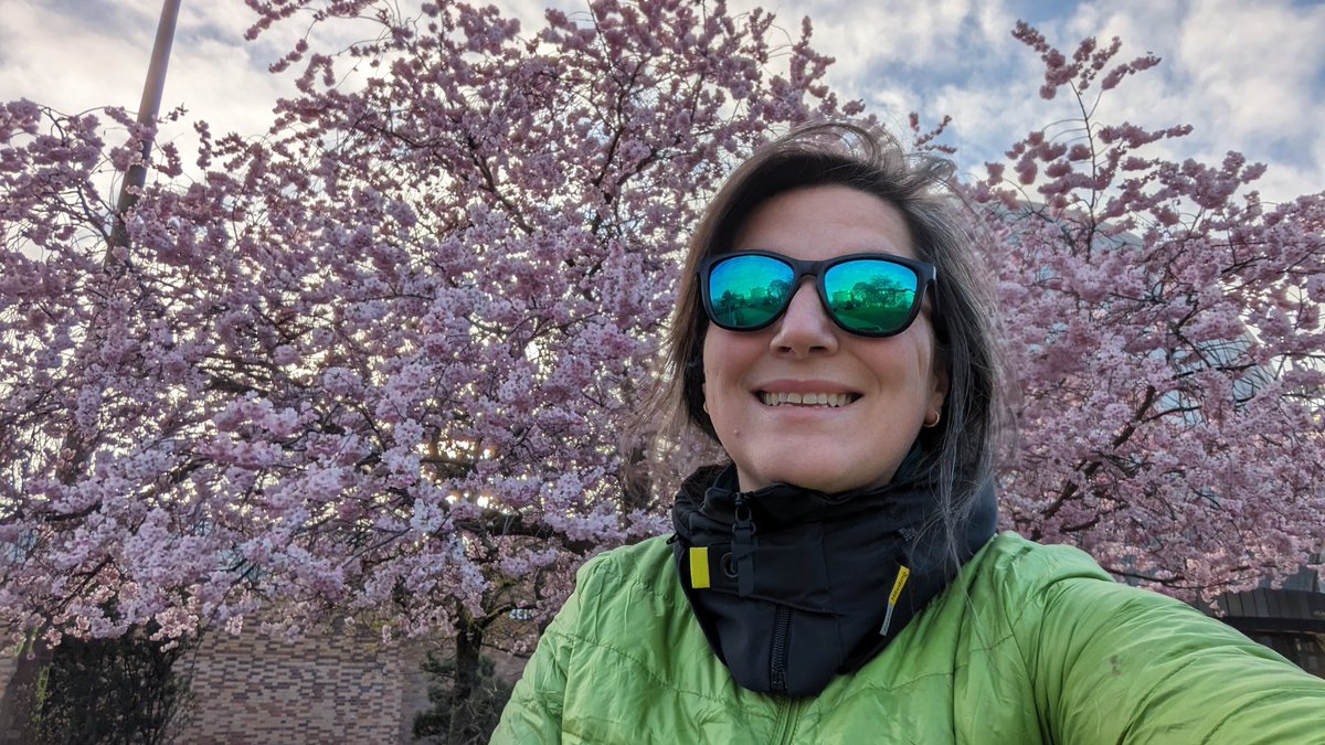 ioana 👩‍💻🦊✨ tweet media