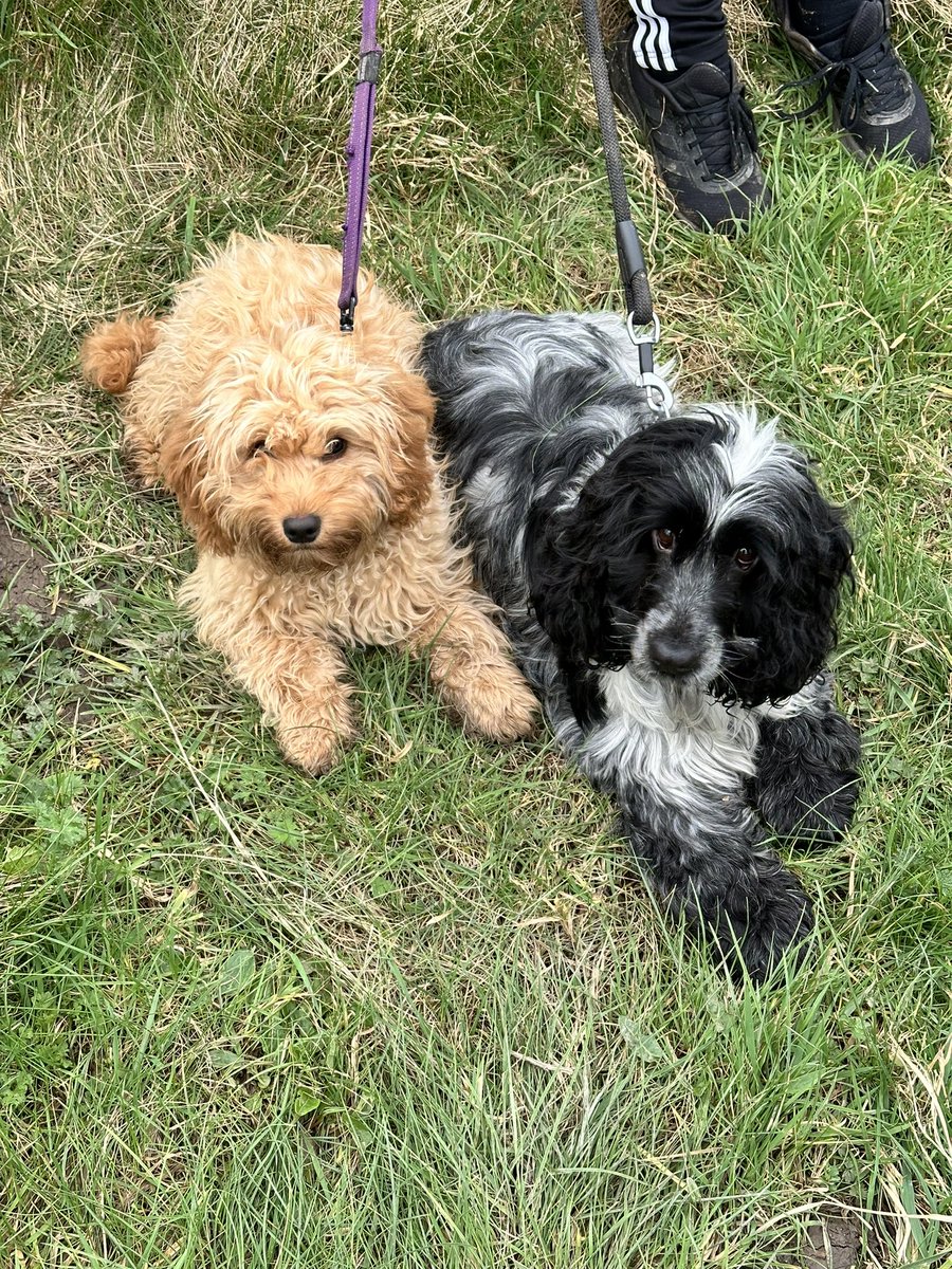 Another weekend - another river bank. #rowingmum