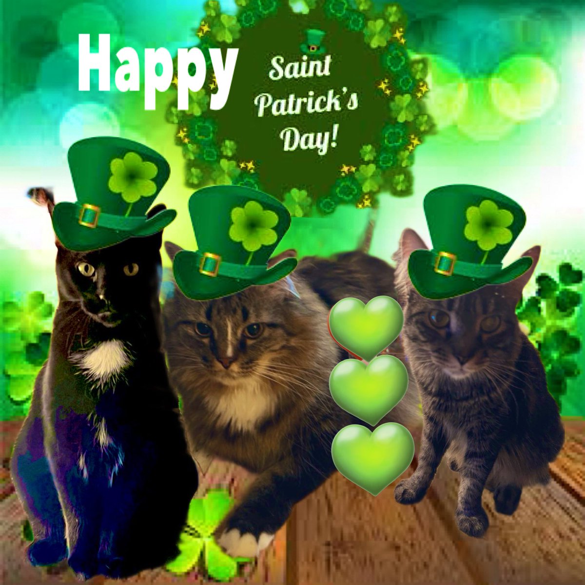 #HappyStPatricksDay to our X (Twitter) family. 💚💚💚 ☘️☘️☘️