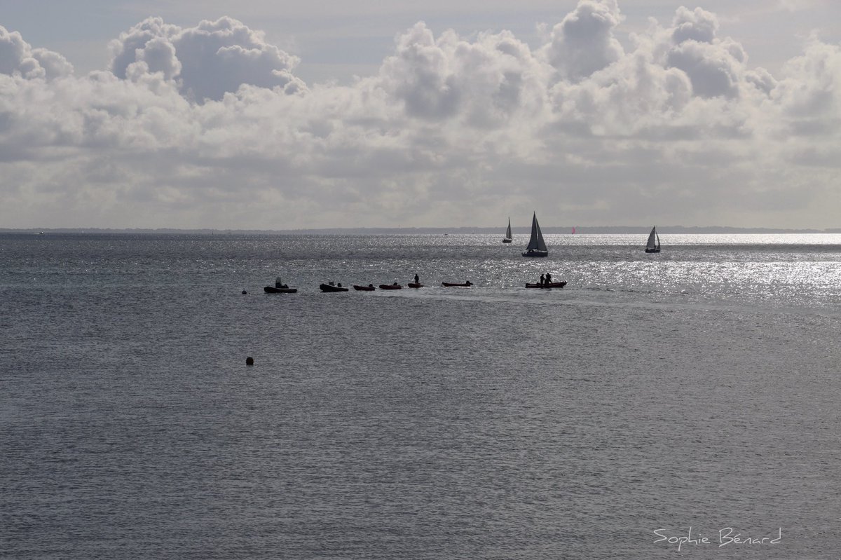 Sailing ⛵️ #Bretagne #quiberon #sea #ThePhotoHour #ephotozine #magnifiquebretagne #photo #photographer #mer