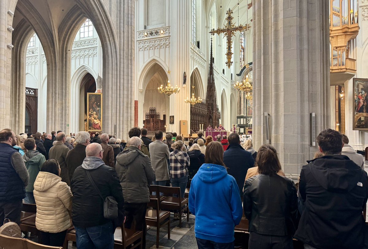 Chris Arnade 🐢🐱🚌 tweet media