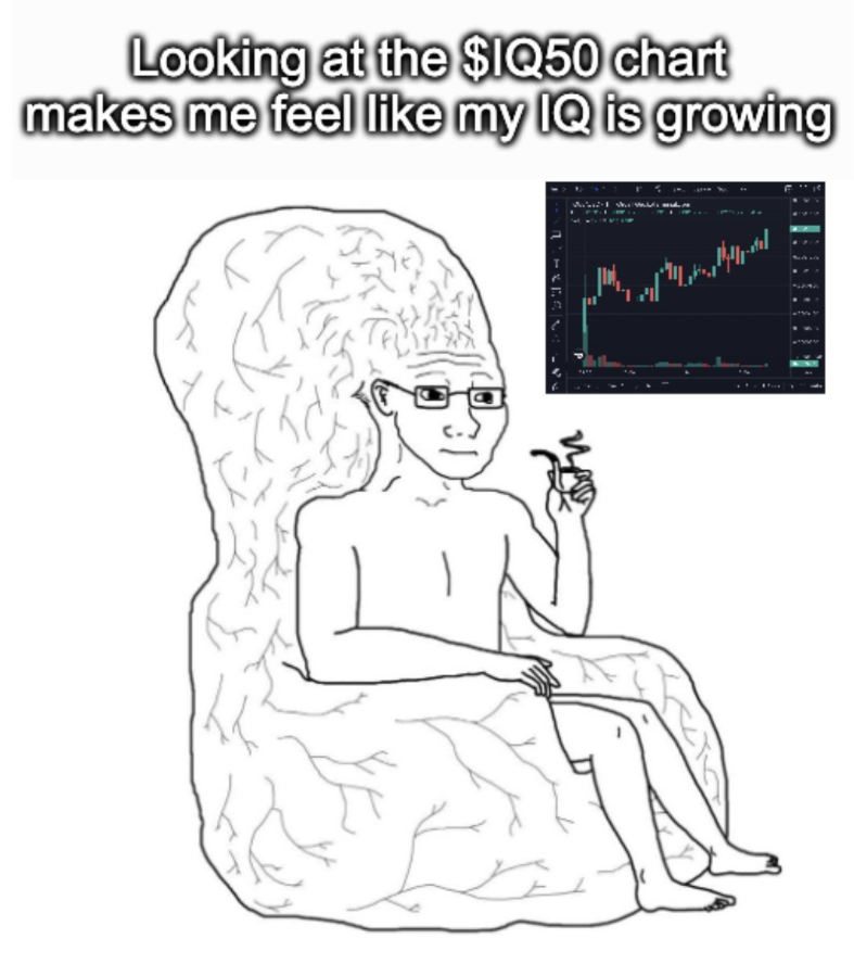 binance_xc's tweet photo. 最魔性的 #MEME 它又来了
公平发射，筹码分散
80%空投到25万地址，20%加池子
价值投资一场空，IQ50住皇宫
当前sol链上的土狗不断，dome史上最快上币安
下一个金狗是谁？下一个最快上币安的模因币是谁？
#IQ50 https://t.co/UBaCMNDh5u