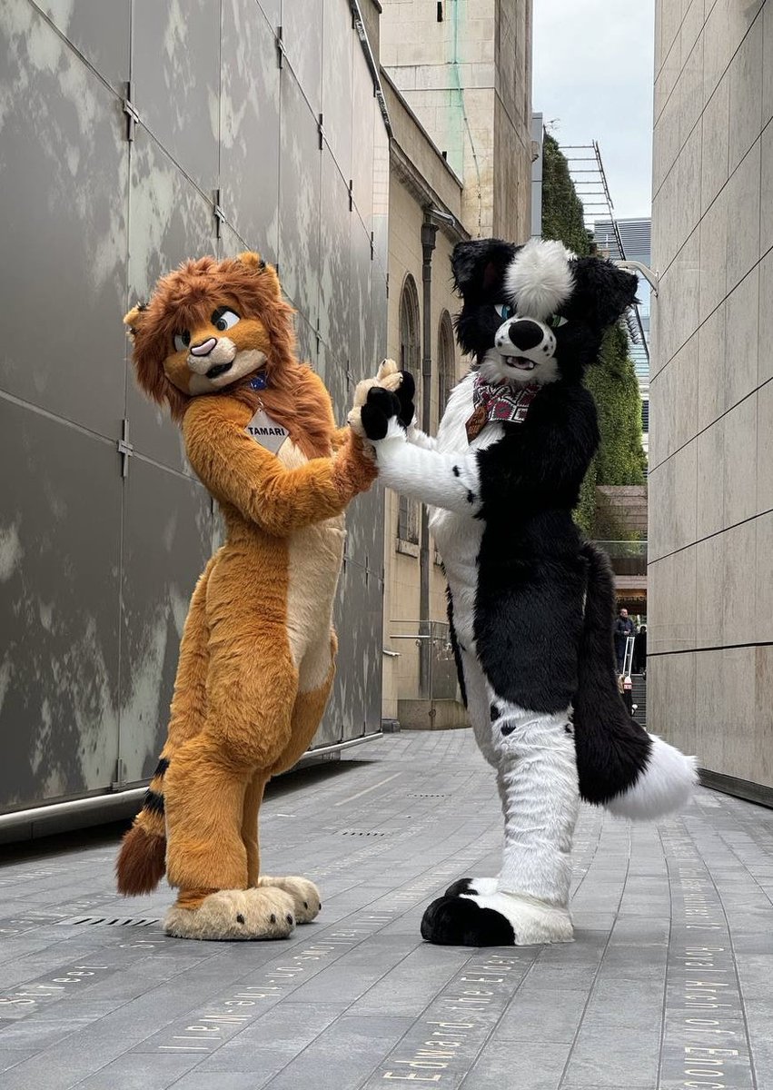 Had a wonderful first day in London yesterday^^ @LondonFurs was such a great meet and was awesome seeing and meeting everyone! Heading over to wales for the rest of my time. Thank you @sparkpanda @techtiggie for hosting the lion and I 💕 📸: @crikeycroco