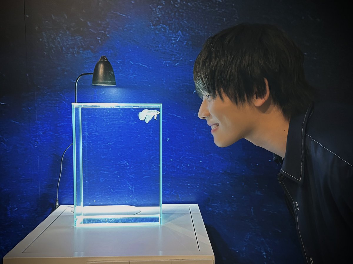 宮川大聖　みやかわくん　キャンバス　アート　海の涙 宮川大聖/みやかわくん | 空間へのこだわりは沢山あるんですけど
