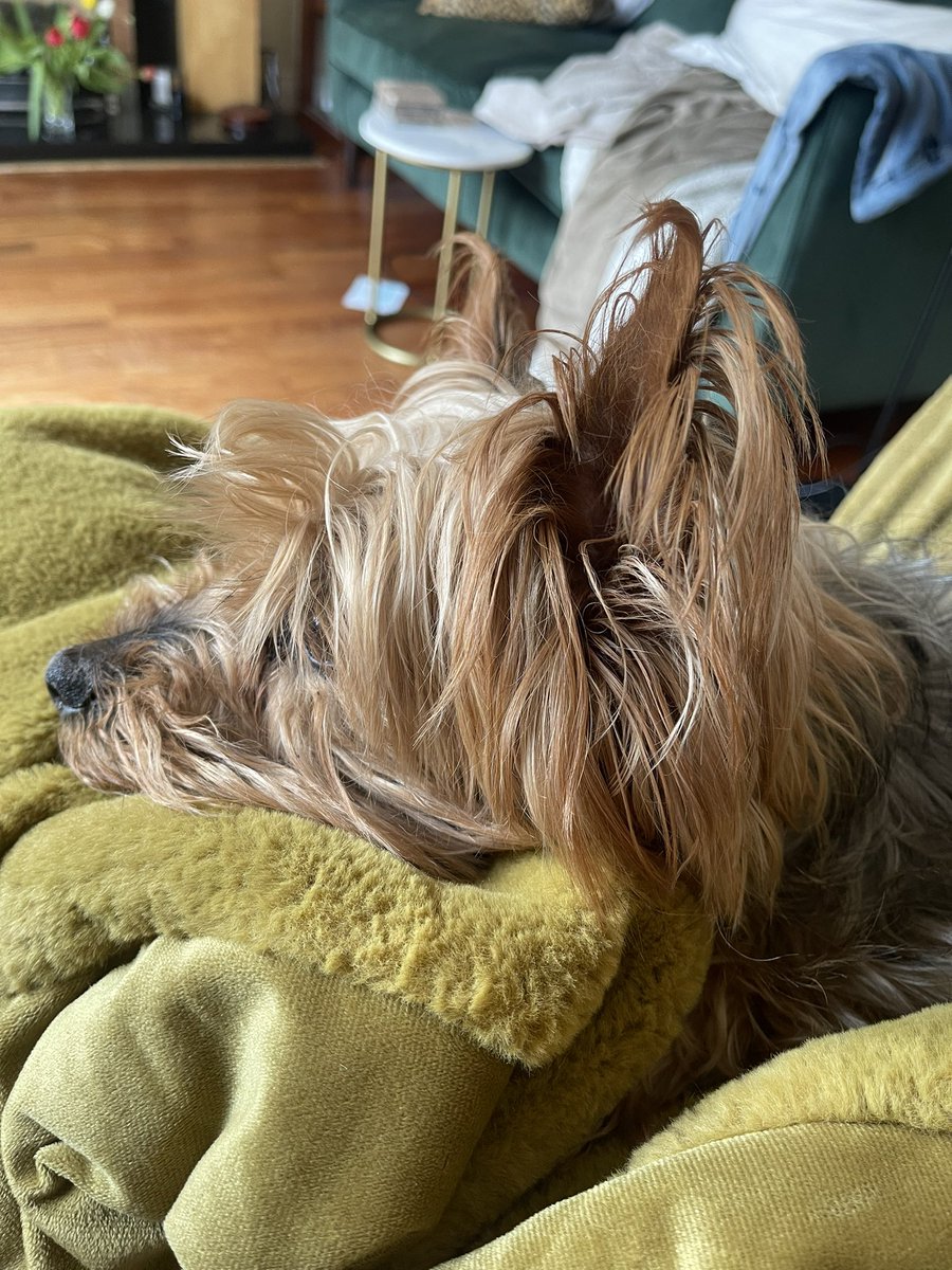 Deirdre Wynter tweet media