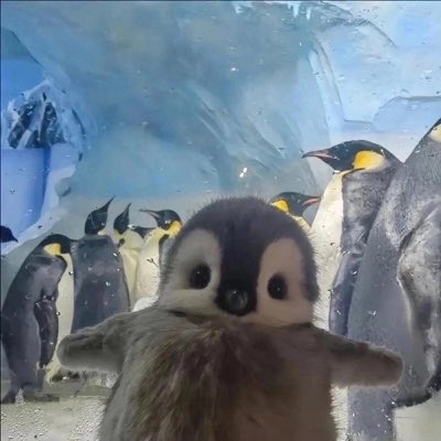 #НовыйАватар