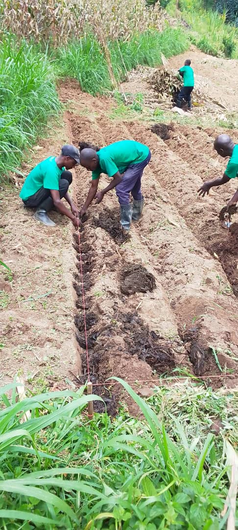 Adopting conservation agriculture across all farms is a crucial solution for combating climate change. It preserves soil health, reduces emissions, and fosters resilience in the face of environmental challenges. #ClimateAction #ConservationAg