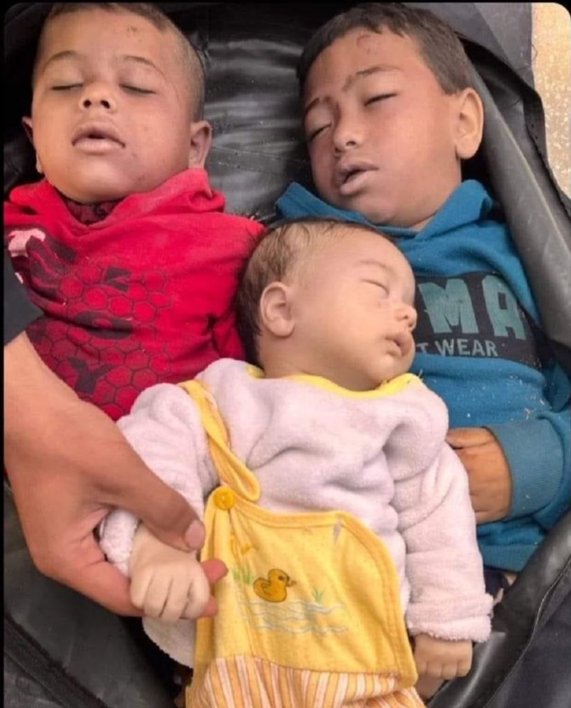Emelia8z0's tweet photo. Do not be silent about the truth
#Strive_to_spread_the_truth

#ChildrenKillers #IsraeliCrime #ZionismIsTerrorism #IsraeliOccupation #genocide #HumanityForAll #EthnicCleansing #forthesakeofGod #ceasefireInGazaNOW  #FreePalestine #ZionistTerror #GazaUnderAttack #GazaGenocide #IDFterrorist #IsraeliApartheid #WarCrimesInGaza #NetanyahuWarCriminal #StopGenocide #Jerusalem #AlAqsa #IsraelTerroristState
#Reconnect_to_gaza
