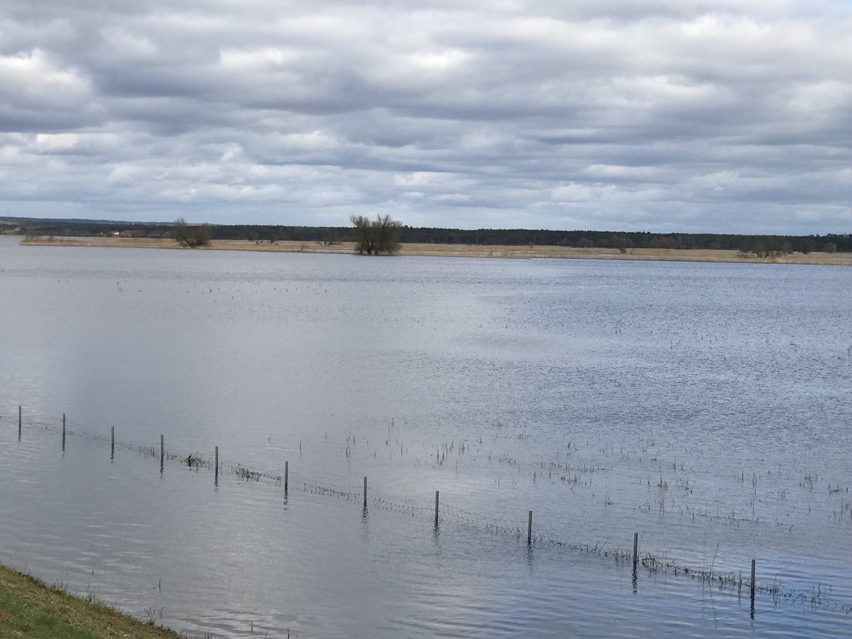 SteffiundErnie's tweet image. Ausflug mit der Oma und dem Ernie 🐶 #Schwedt #Oder #Polder