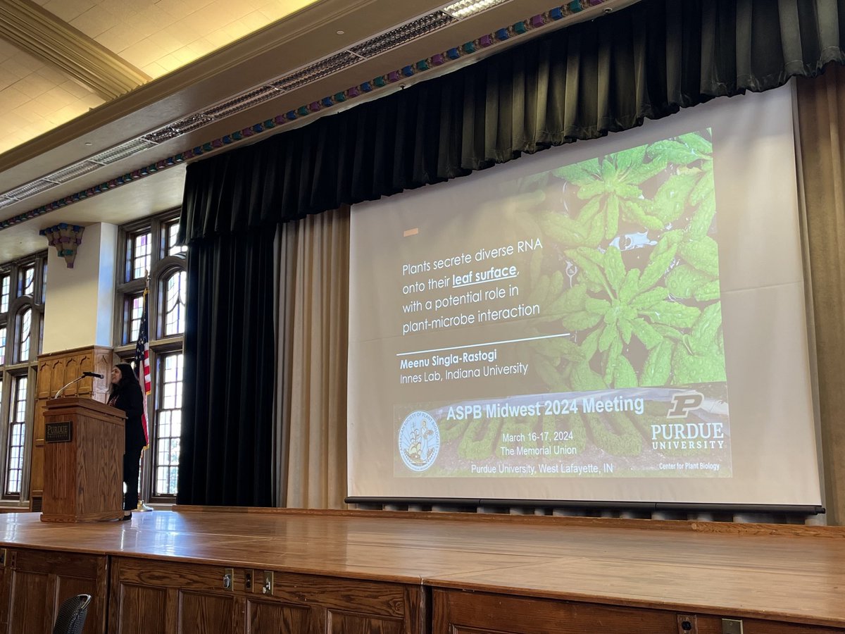 Purdue Center for Plant Biology (@purduecpb) on Twitter photo We will now hear from Dr. Meena Singla-Rastogi from <a href="/IndianaUniv/">Indiana University</a> #MWASPB2024 <a href="/ASPB/">ASPB</a> We will now hear from Dr. Meena Singla-Rastogi from <a href="/IndianaUniv/">Indiana University</a> #MWASPB2024 <a href="/ASPB/">ASPB</a>