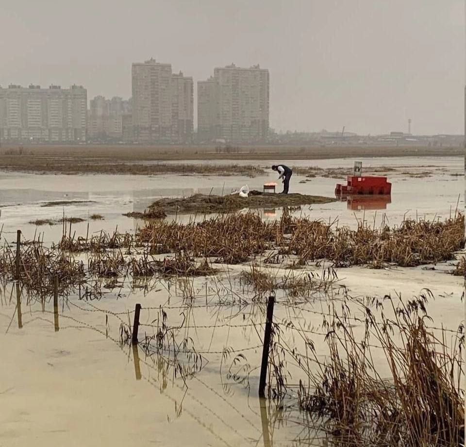 Своя атмосфера в Мурино 😃

Почему-то ассоциации со Сталкером