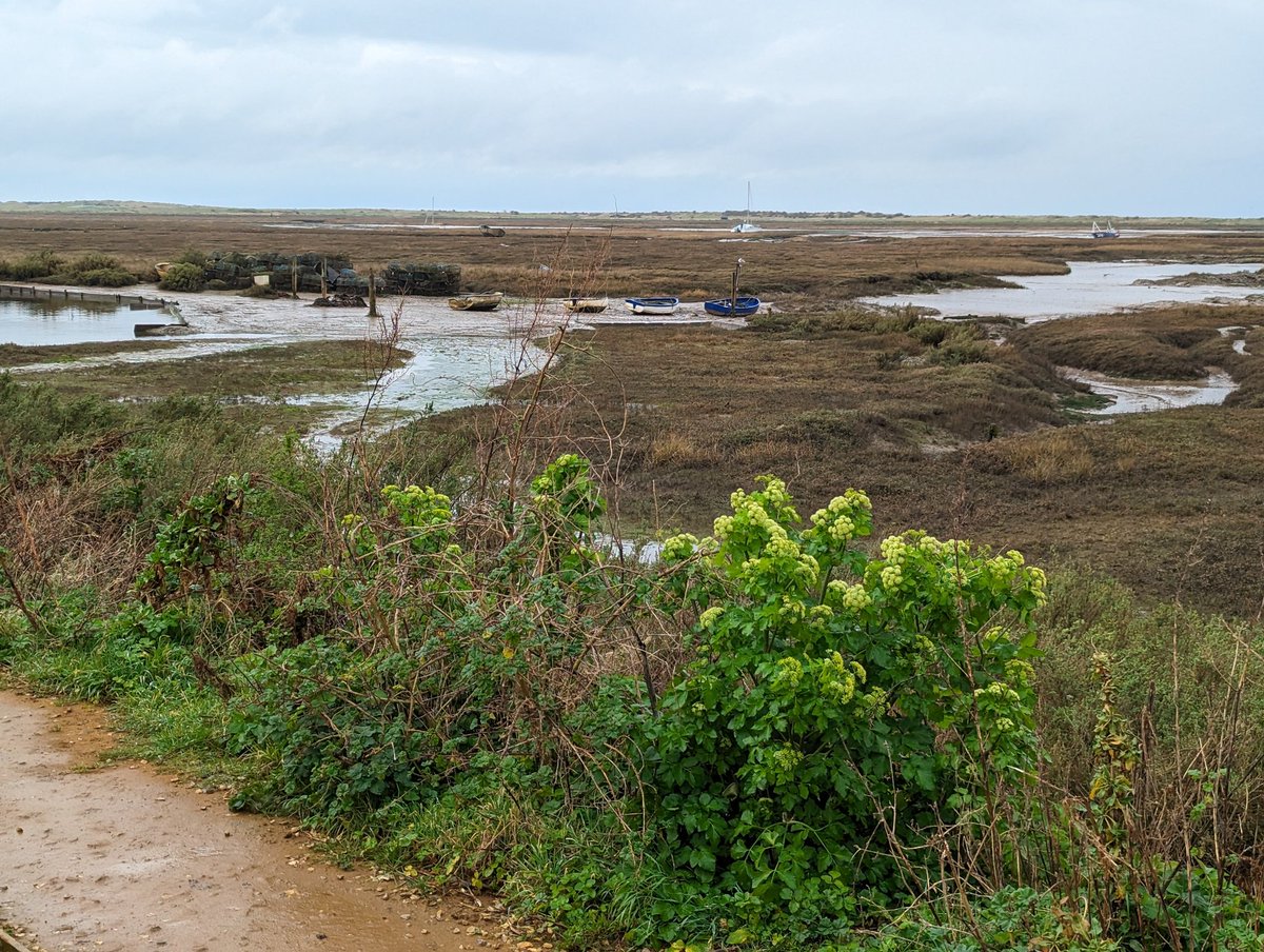 Richard Humphrey Esq 🎩 tweet media