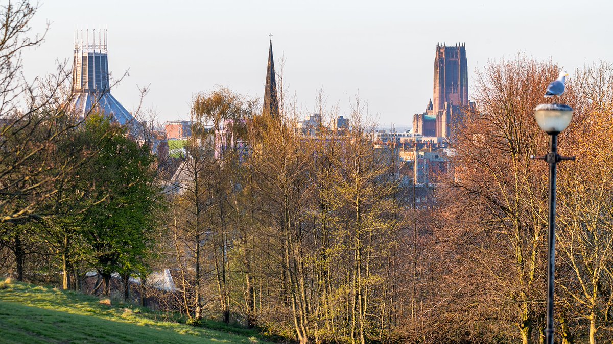 #Liverpool's two cathedrals and the spire of SFX (St Francis Xavier's Church) in the middle. Viewed from Everton Park.