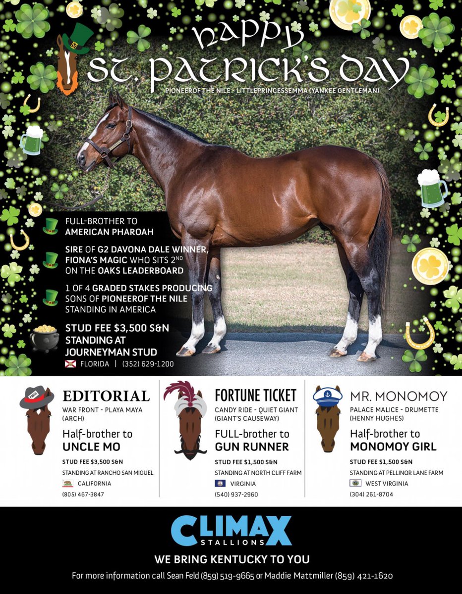 theTDN's tweet photo. ☘️Happy St. Patrick’s Day from @ClimaxStallions!

We bring Kentucky to you! https://t.co/goP3kb1zF3
