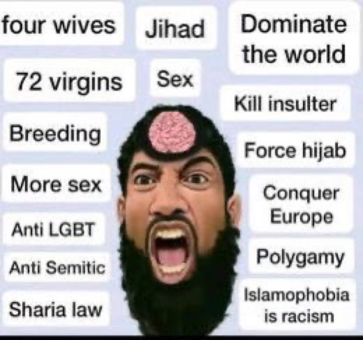 ahuraslight's tweet photo. @JTLonsdale I wonder if it has anything to do with their brazen support for Islam, which is equally, and if necessary, murderously incompatible with human intelligence.

#IslamIsTheProblem #HamasAreTerrorists #IraniansStandWithIsrael https://t.co/2pNc74nISk