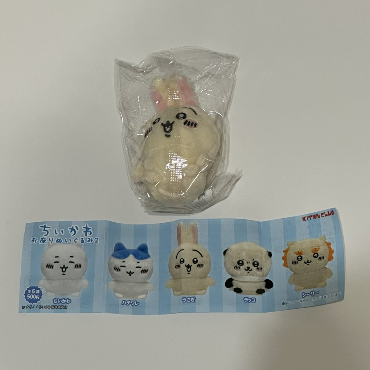 もきゅ🐶 tweet media