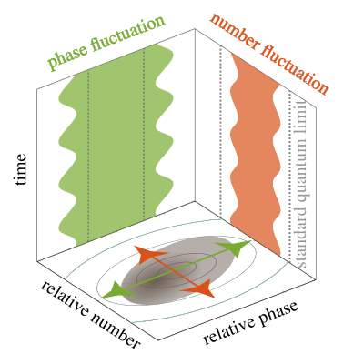 PhysRevX's tweet photo. Dynamical evolutions of squeezed states provide an effective means to engineer quantum correlations in tunnel-coupled condensates.
Read https://t.co/iqOZmW02HQ
@max_pruefer @tu_wien #openaccess #PRXamo #PRXqst https://t.co/WnW2MduOPB