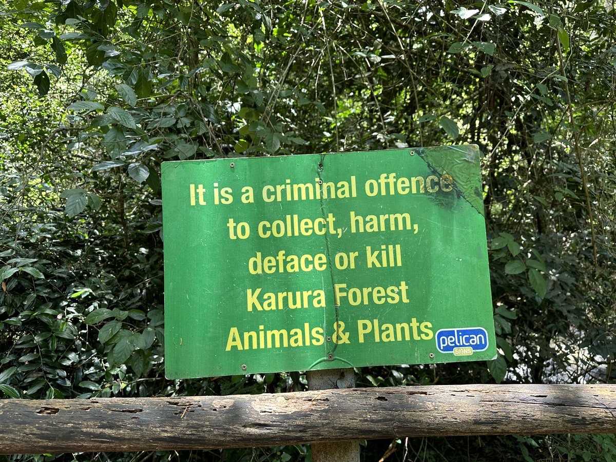 It is safe to say that in #Nairobi’s Karura forest, environmental offences are taken  pretty seriously.