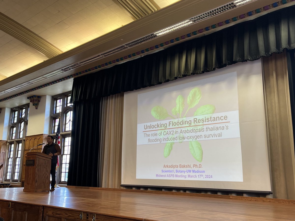 Purdue Center for Plant Biology (@purduecpb) on Twitter photo Our next speaker is Dr. Arkadipta Bakshi from <a href="/UWMadison/">UW–Madison</a> #MWASPB2024 <a href="/ASPB/">ASPB</a> Our next speaker is Dr. Arkadipta Bakshi from <a href="/UWMadison/">UW–Madison</a> #MWASPB2024 <a href="/ASPB/">ASPB</a>