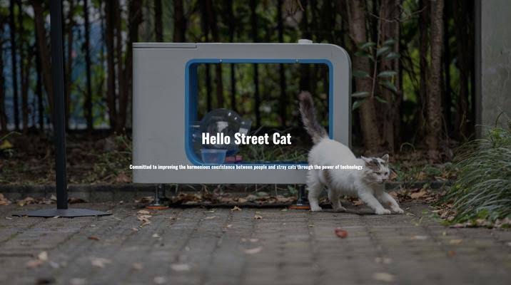 En China hay una app llamada hello street cat. Esta conectada a unas estaciones donde la gente hace donaciones de comida para los gatitos sin hogar, las personas pueden verlos en vivo mientras comen.
#NoAlMaltratoAnimal