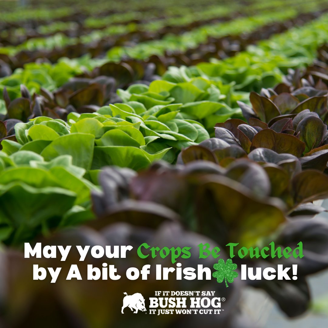 Bush Hog tweet media