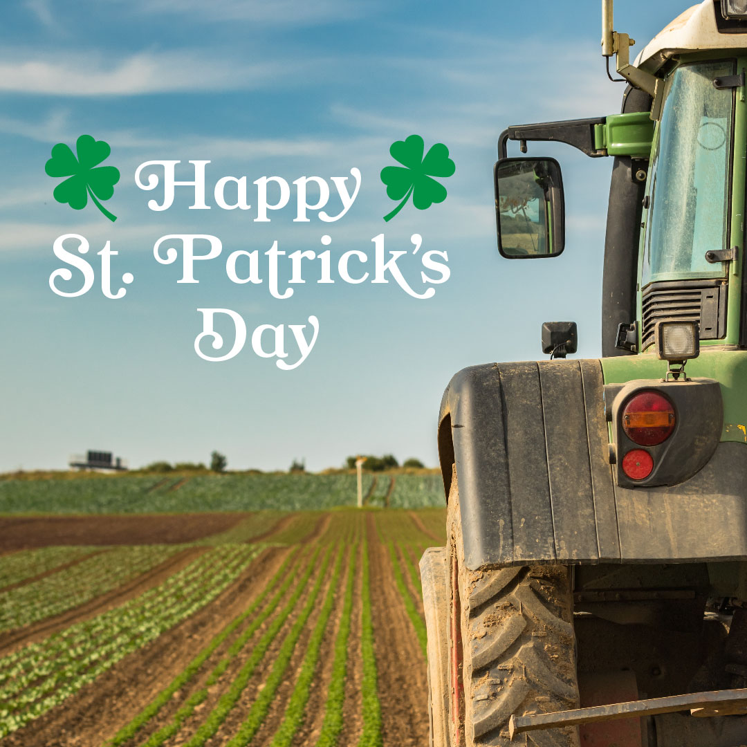 Irish you a lucky day! #stpaddysday #luckoftheirish