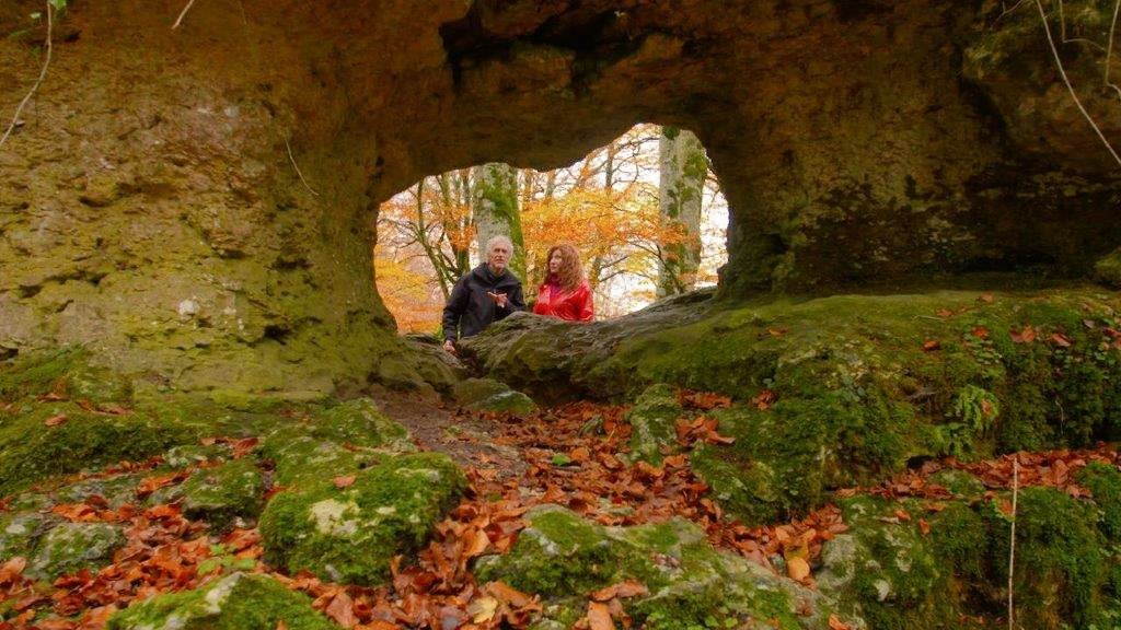 César Javier Palacios tweet media