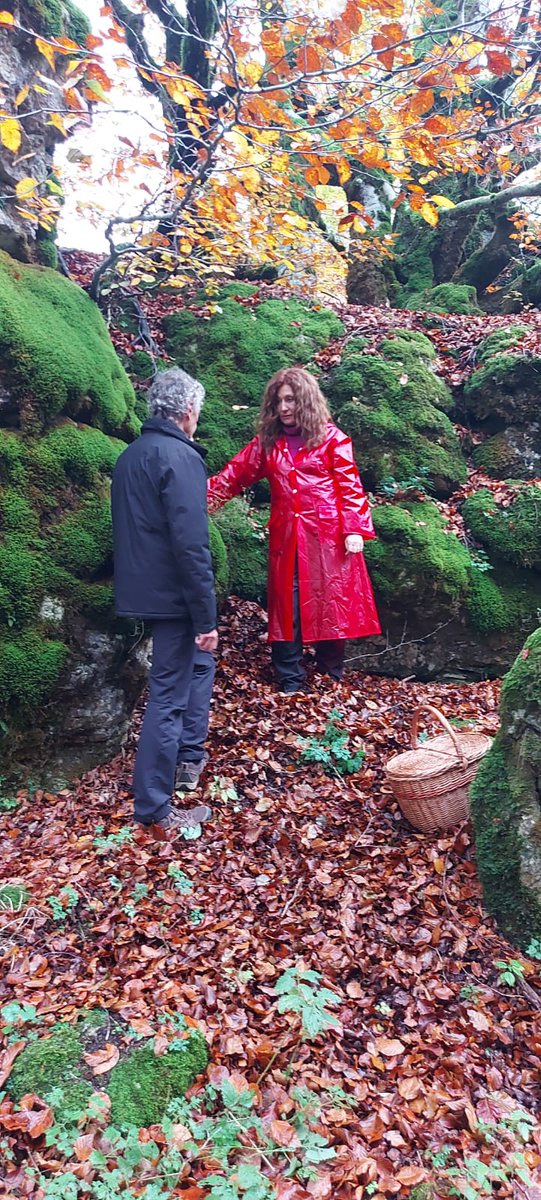 César Javier Palacios tweet media