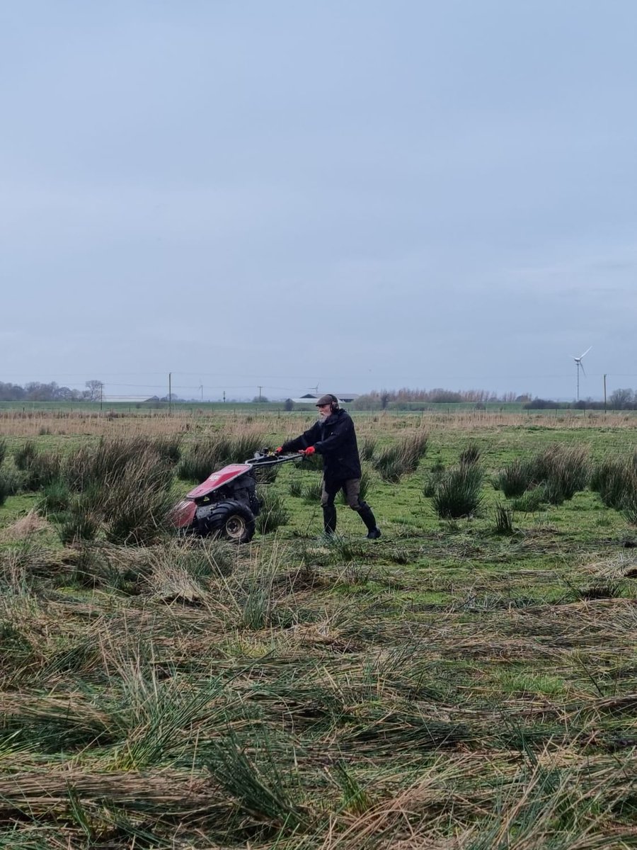 Our team travelled over to Leven Carrs last week to help out @YorksWildlife with their exciting new project & the management of Juncus on site. In previous years we have supplied green hay & seed from the #LDV so it was really nice to be back & see how the site is developing.