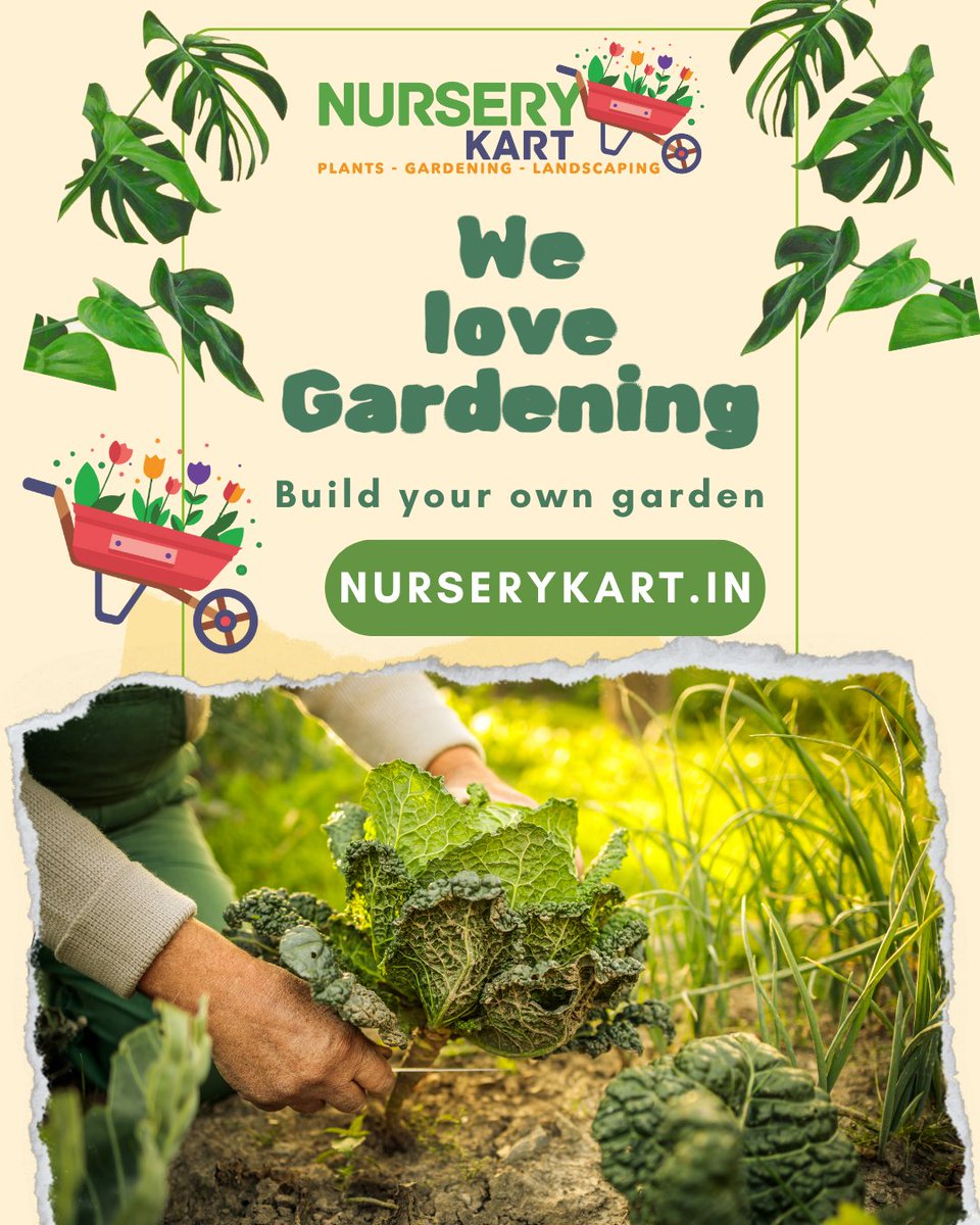 nurserykart's tweet photo. Transforming your bedroom into a lush oasis with the vibrant hues of nature.

SerenityWithPlants #PlantLover #UrbanJungle #PlantParent #GreenThumb #IndoorPlants #PlantLife #HousePlants #BotanicalBeauty #ElectoralBonds  #ElvishYadavARRESTED  #nurserykart https://t.co/UIov8SSJPR