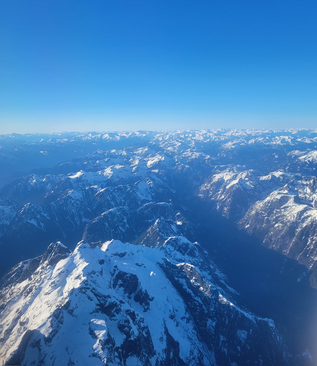 Ellen Watson, PhD tweet media