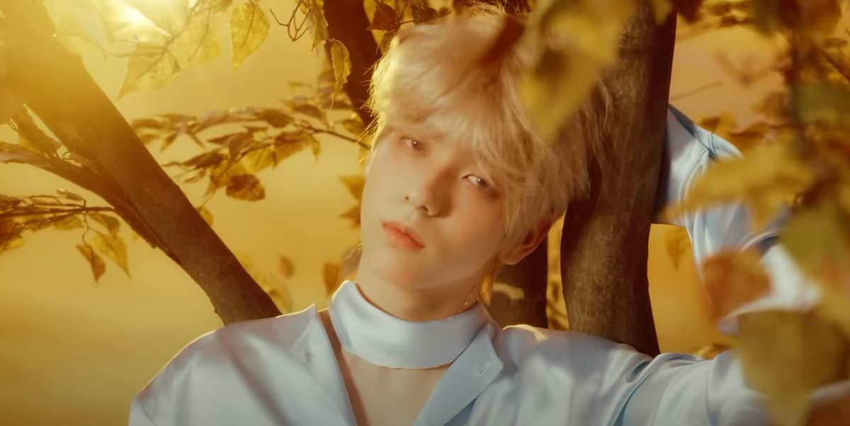 lamegamehero's tweet image. Am I the only one unsettled by the purring sounds that start at around 0:50?? Do foxes purr the same way as cats...or...? 🔵🟢 #txttheories #moatheories #minisode