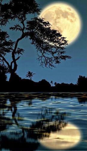 sitaravirgo's tweet image. کبھی یوں بھی تو ھو 
دریا کا ساحل ہو 
پورے چاند کی رات ہو 
اور تم آؤ 
پریوں کی محفل جو 
کوئی تمہاری بات ہو 
اور تم آؤ 
شب بخیر 
#قومی_زبان 
goodnight friends 
#sitaravirgo 
#SweetDreams 
Bye till sehri time 
☘️🌸🌺☘️🌸☘️🌺