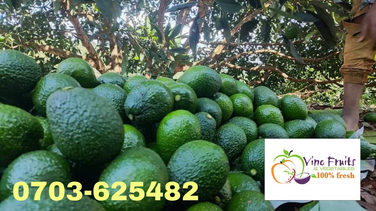 vinefreshkenya's tweet photo. Avocado ❣️ is all you need 🥑🥑🥑 https://t.co/4Lq9WMWyeV