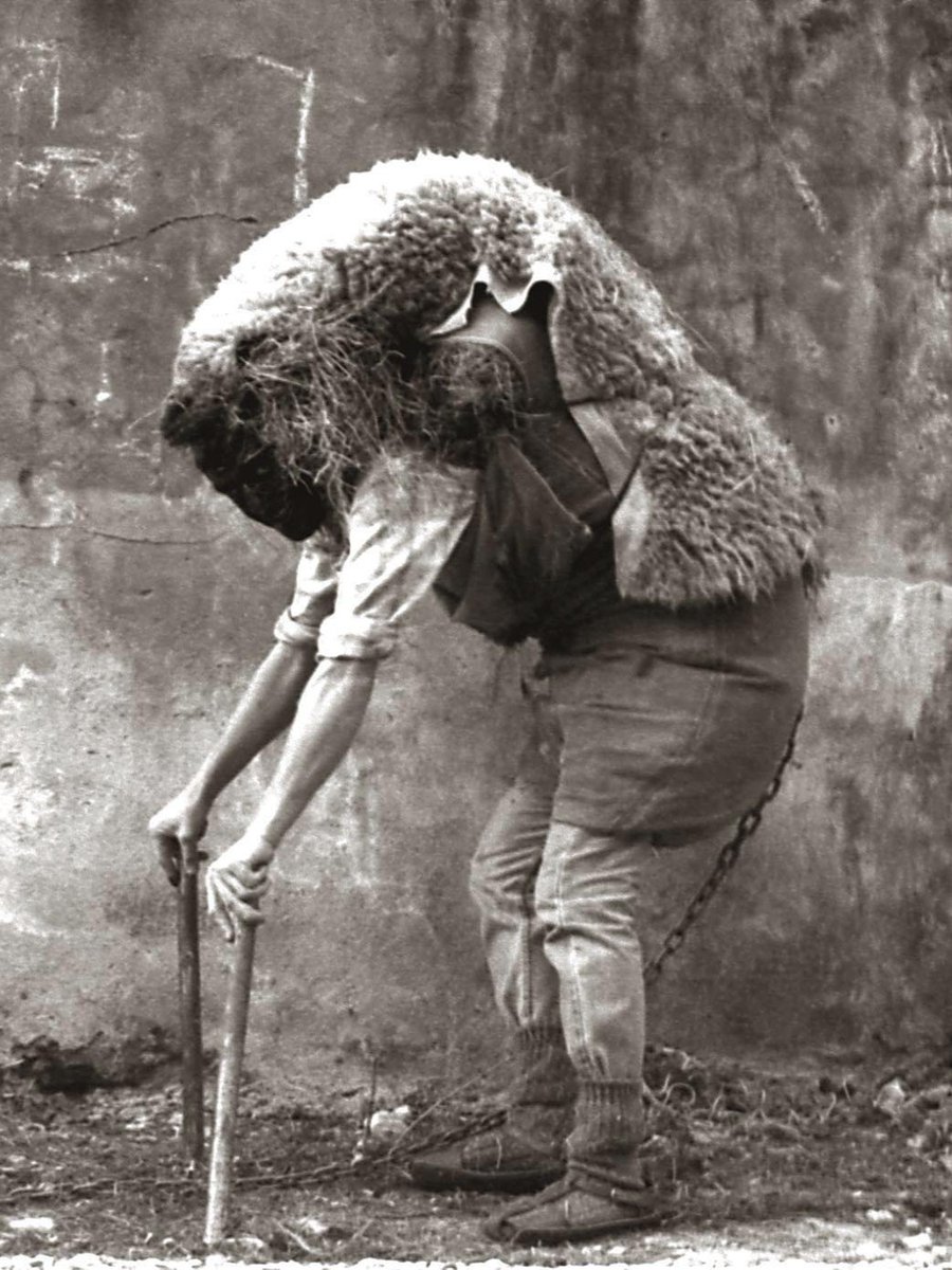 J.J. Muñoz-Rengel tweet media