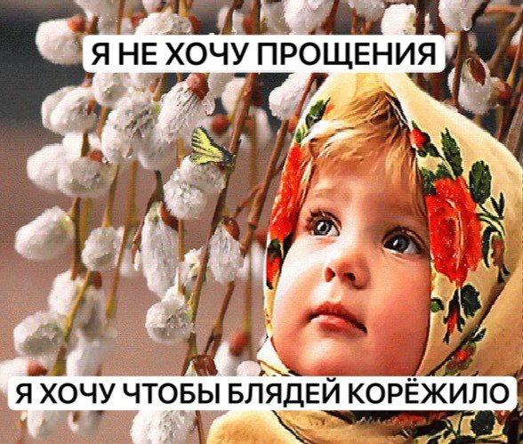 fy_plaksa's tweet photo. с праздником что ли https://t.co/KVPeV8FKee