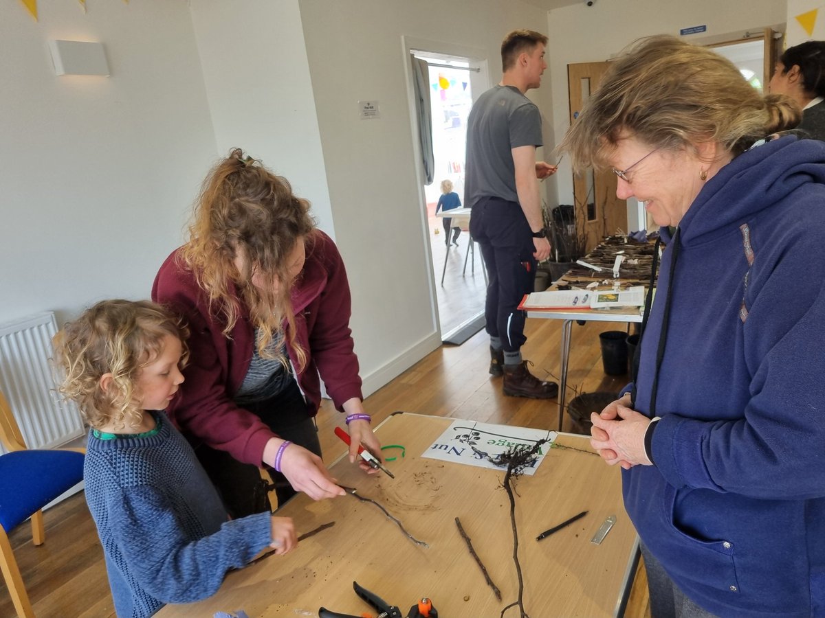 fruitnutvillage's tweet photo. Fruit #TreeGrafting today @dadslaneca... marking one year of #PineappleHouse. Happy Birthday to you... it's a great space... perfect for #grafting. https://t.co/dzPBrEFTrE