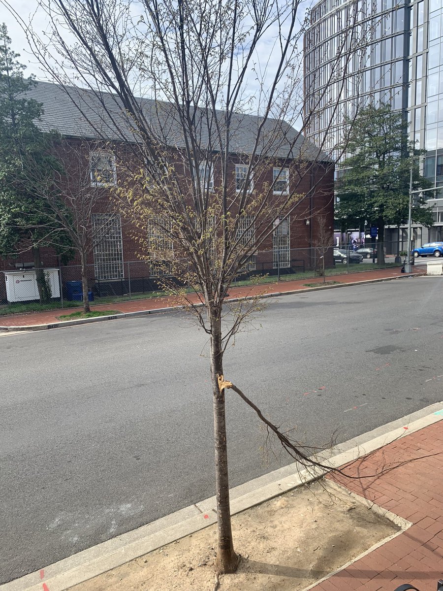 Michael Wichita tweet media