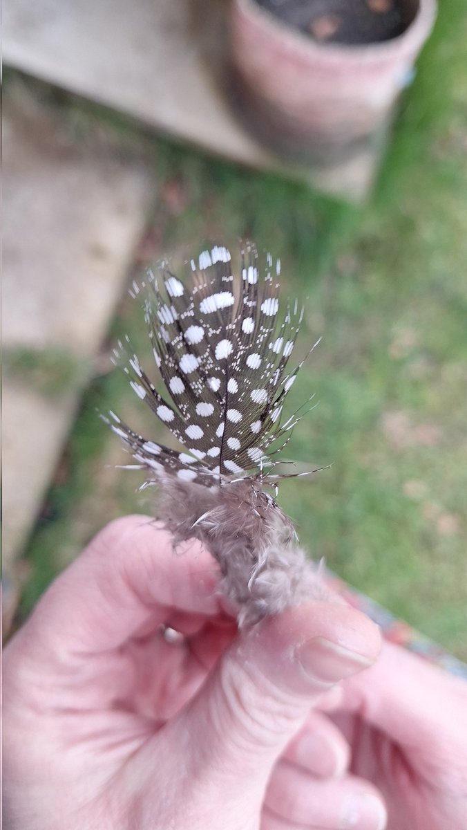 John Davidson tweet media