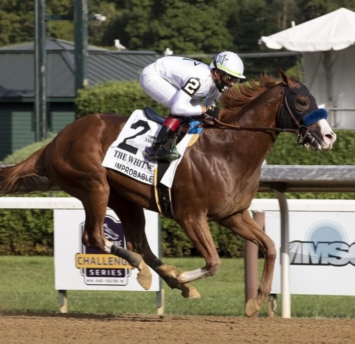 blindadosalas1's tweet photo. #Hipismo HA MUERTO IMPROBABLE: Esta mañana se conoció que el ganador de Gr1 y Campeón maduro de 2020 IMPROBABLE tuvo que ser sacrificado tras no superar un tratamiento por rotura de la tibia en el #WinStarFarm donde prestaba faena como padrillo. Sin dudas, una lamentable pérdida. https://t.co/eZCoesIuN8