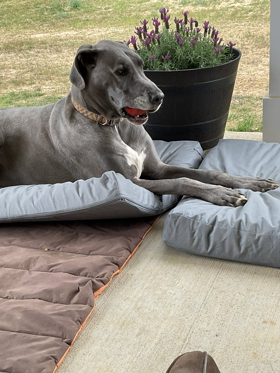 Happy birthday to the bestest boy ever! <a href="/SlashLurk/">Rich Lambert</a>