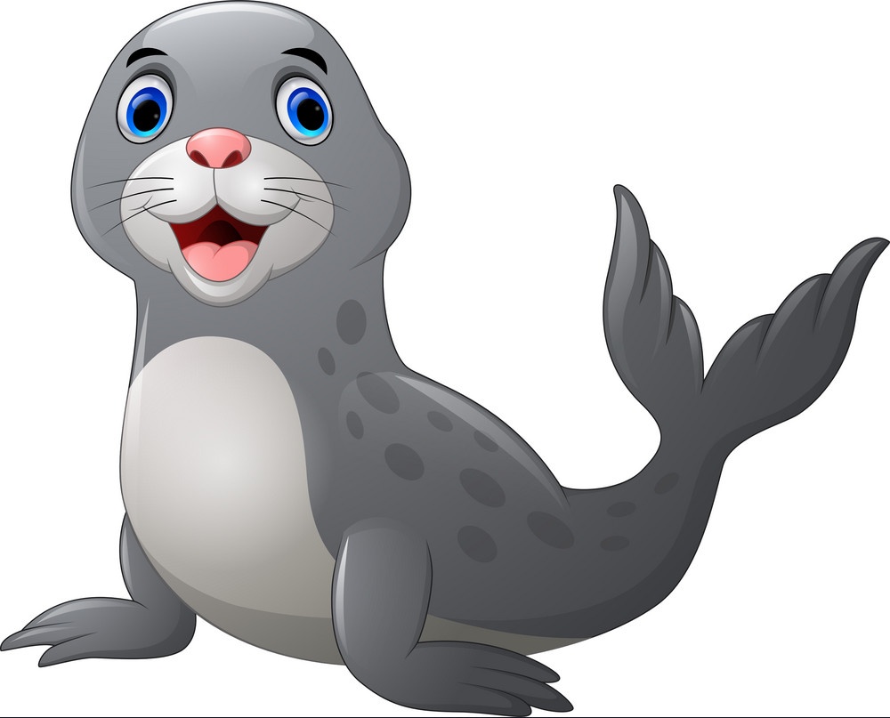 Nikwalton_'s tweet image. First 5000 Solana wallets gets a guaranteed $SEAL Airdrop 🪂

Drop your $SOL address 👇🏻

💟 &amp;amp; 🔁 + Follow 🔔

Check your wallet in 24 hours

#Solana #SolanaAirdrop
$BLOCK $PARAM $GMRX