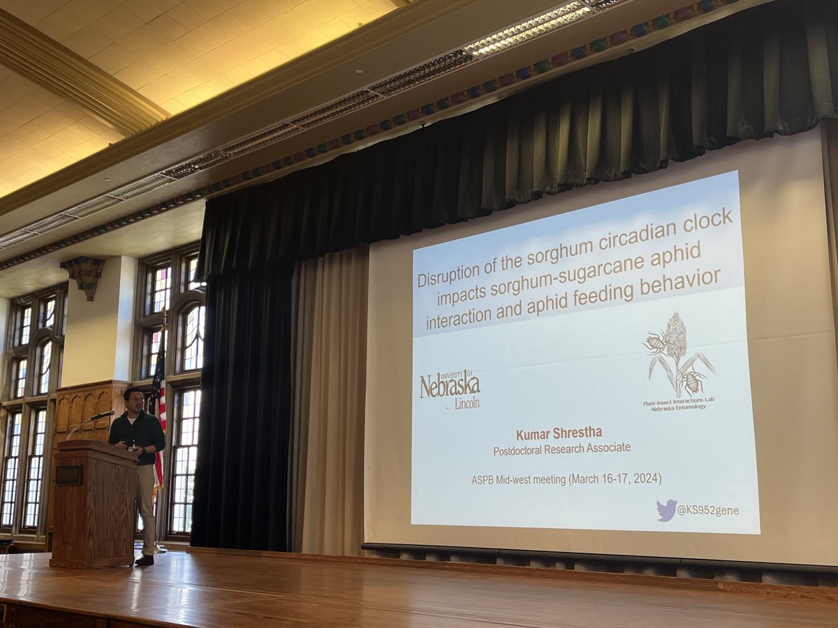 Purdue Center for Plant Biology (@purduecpb) on Twitter photo Our final talk of the session & of #MWASPB2024 is Dr. Kumar Shrestha from <a href="/UNLincoln/">University of Nebraska-Lincoln</a> <a href="/ASPB/">ASPB</a> Our final talk of the session & of #MWASPB2024 is Dr. Kumar Shrestha from <a href="/UNLincoln/">University of Nebraska-Lincoln</a> <a href="/ASPB/">ASPB</a>