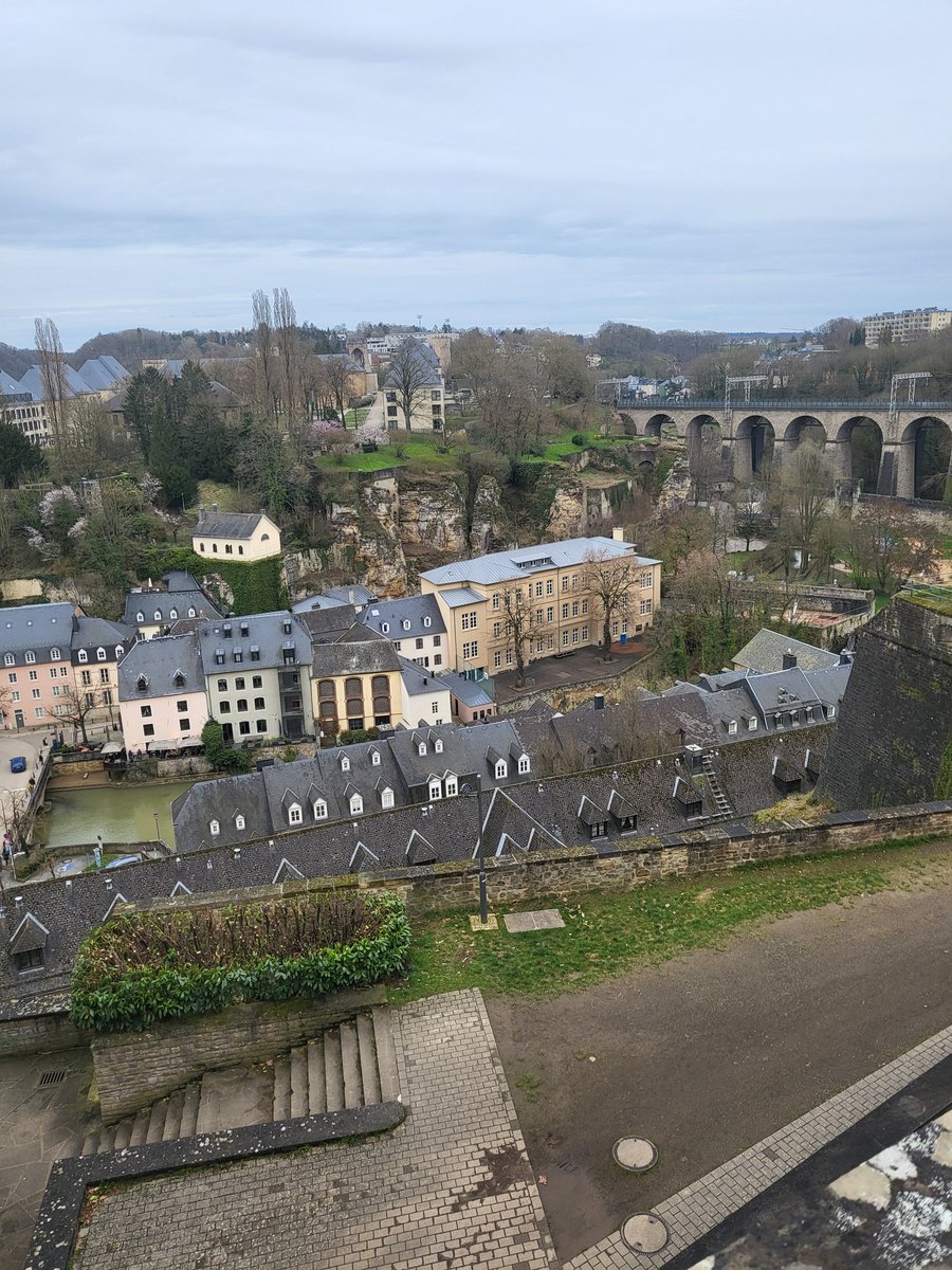 RoyASheehan's tweet photo. 🇱🇺 https://t.co/eholjvRTL2